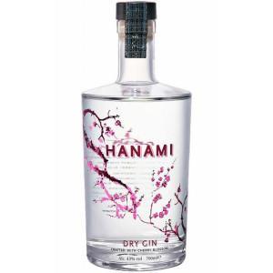 Gin - Pravalia cu licori