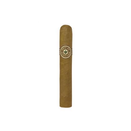 JDN Clasico Robusto 10 -  | Pravalia cu licori.