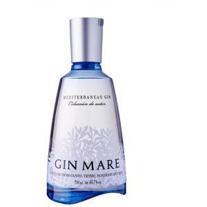 Gin - Pravalia cu licori