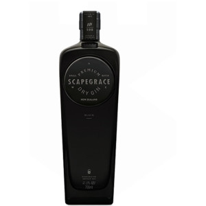 Gin - Pravalia cu licori